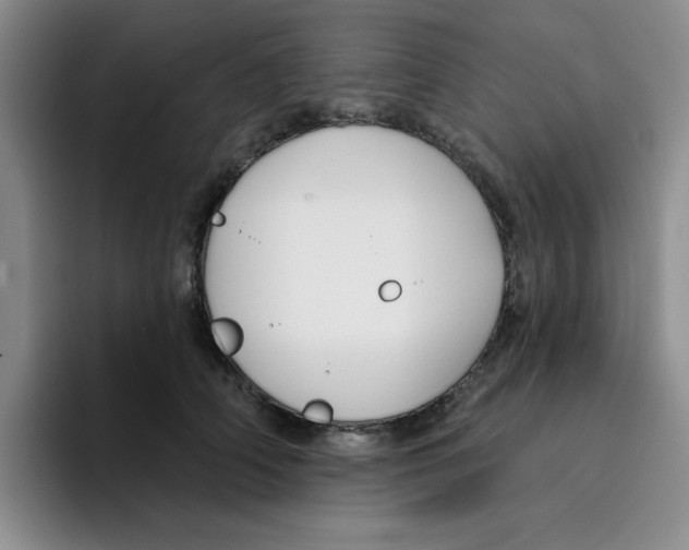 X0000096170706200802151435
