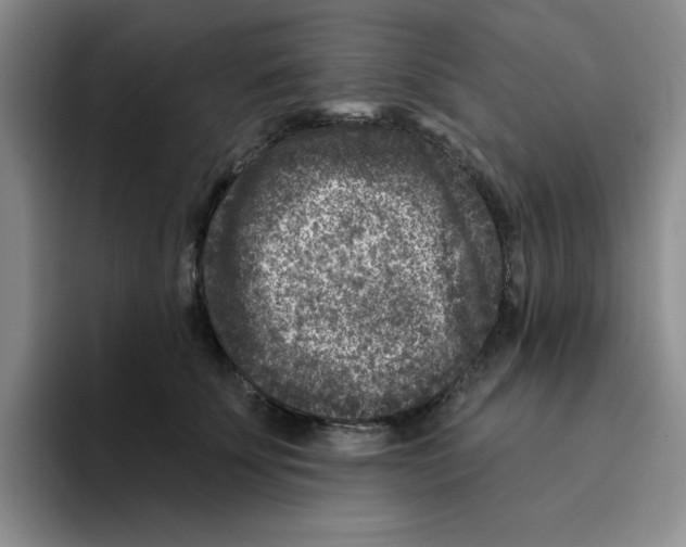 X0000096170707200802151435