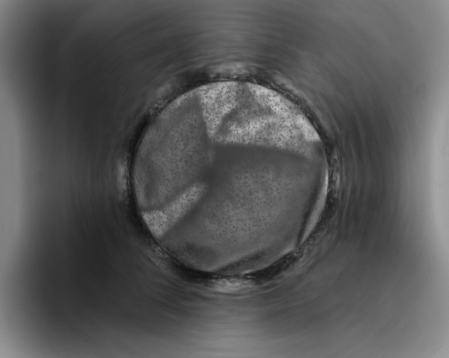 X0000096170708200802151435