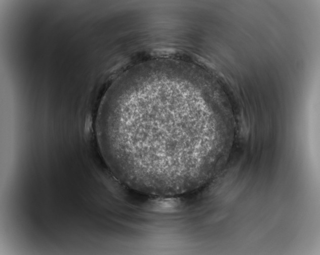 X0000096170711200802151435