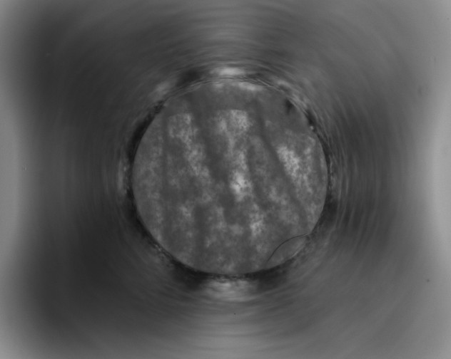X0000096170712200802151435