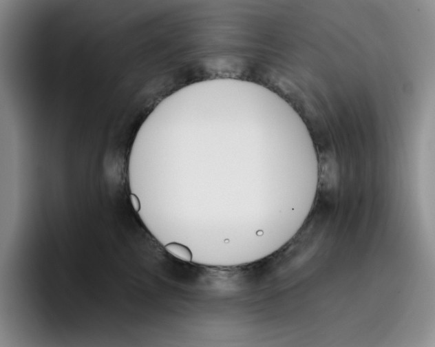 X0000096170713200802151435