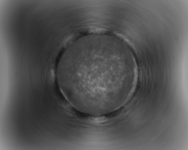 X0000096170716200802151435