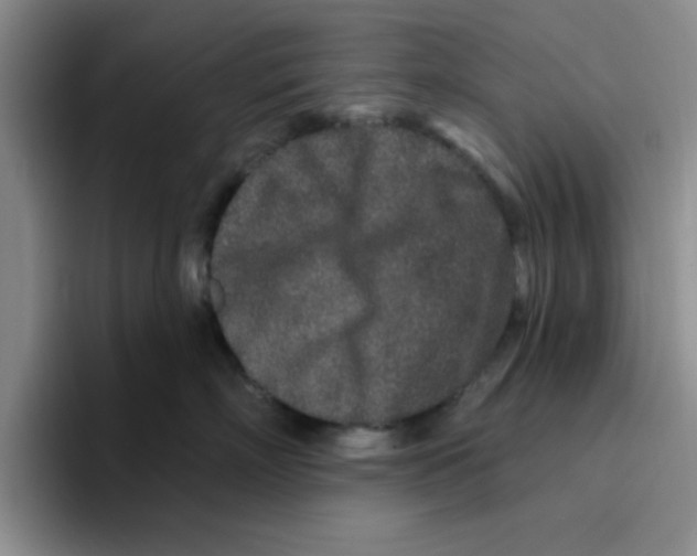 X0000096170718200802151435