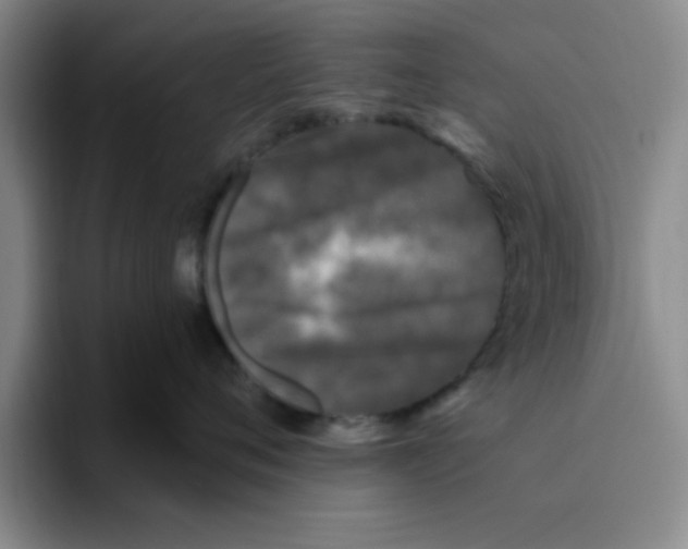 X0000096170720200802151435
