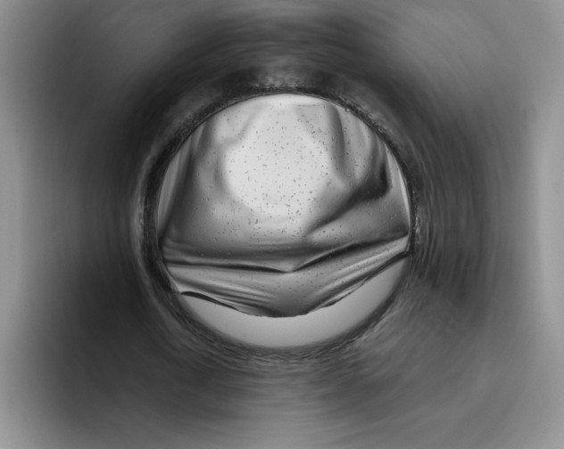 X0000096170722200802151434