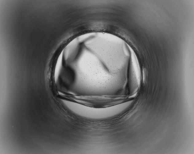 X0000096170723200802151434