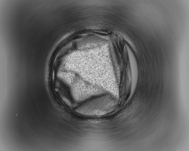 X0000096170724200802151434
