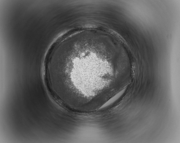 X0000096170726200802151434