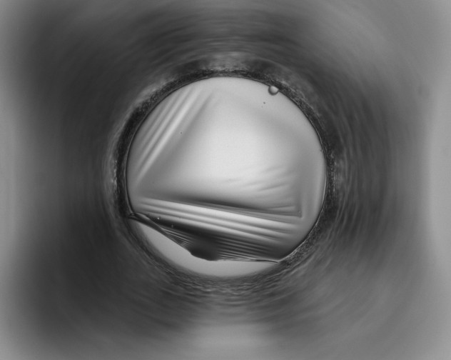 X0000096170727200802151434