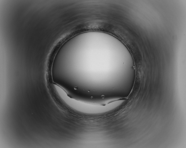 X0000096170728200802151434