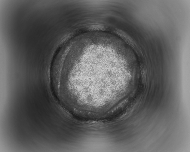 X0000096170729200802151434