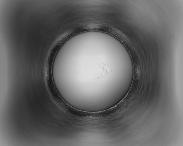 X0000096170732200802151434