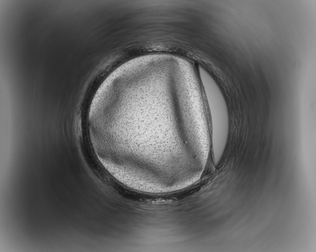 X0000096170734200802151434