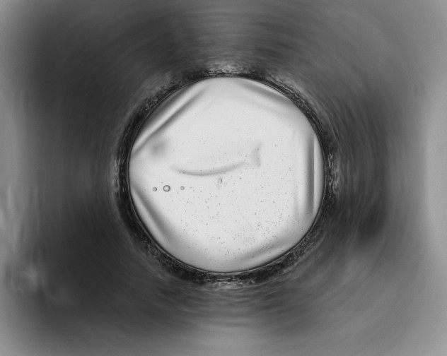 X0000096170738200802151434