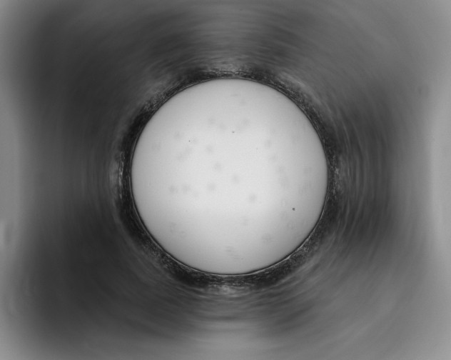X0000096170739200802151434