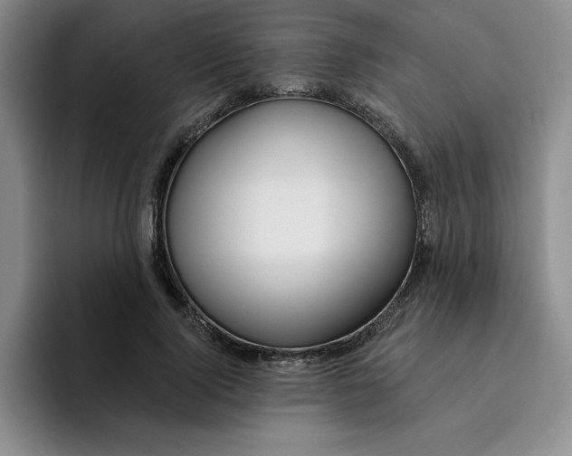 X0000096170740200802151434