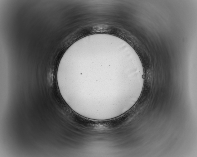 X0000096170741200802151434
