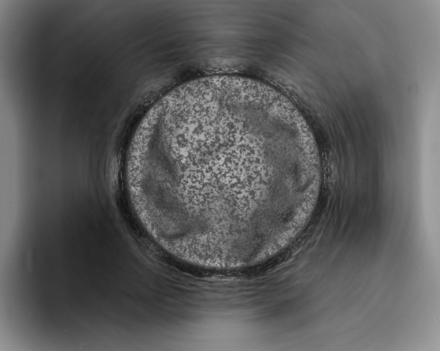 X0000096170742200802151434