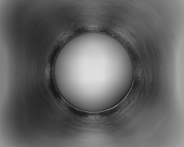 X0000096170744200802151434