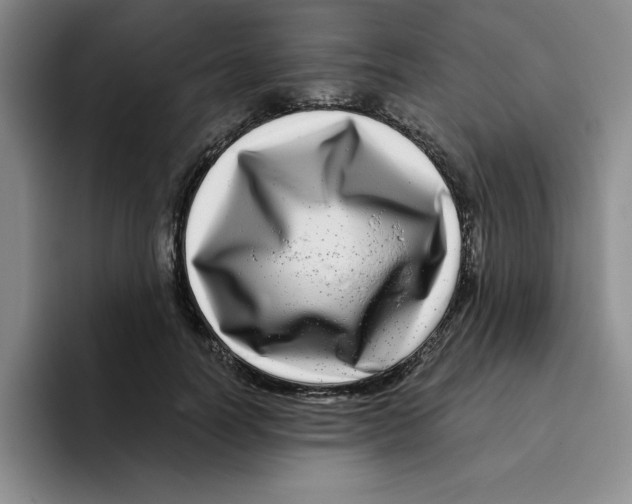 X0000096170746200802151434