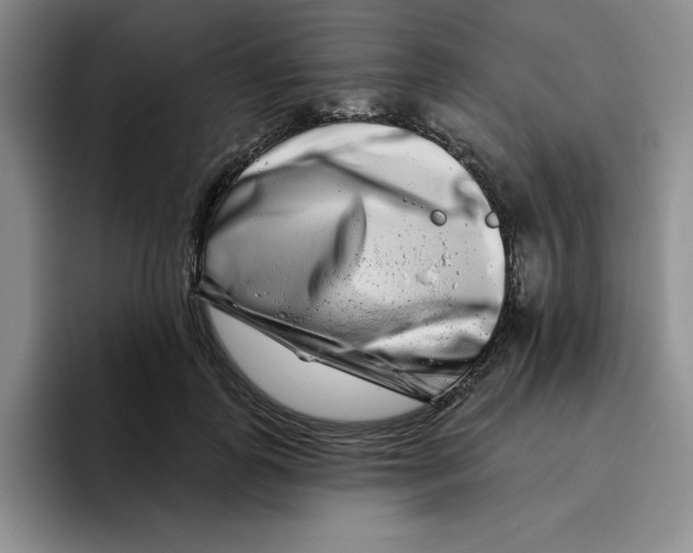 X0000096170747200802151434