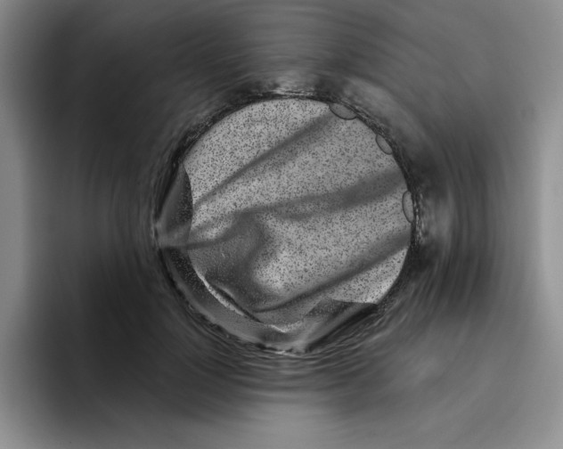 X0000096170748200802151434