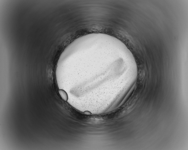 X0000096170749200802151434