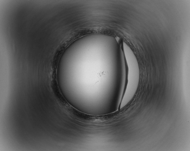 X0000096170750200802151434