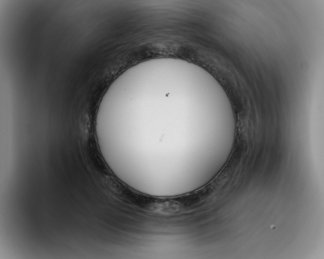 X0000096170752200802151434