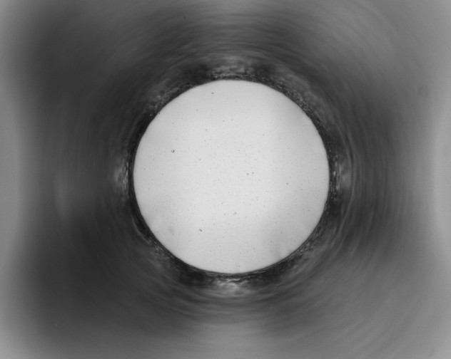 X0000096170753200802151434