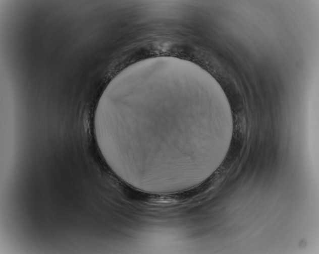 X0000096170754200802151434