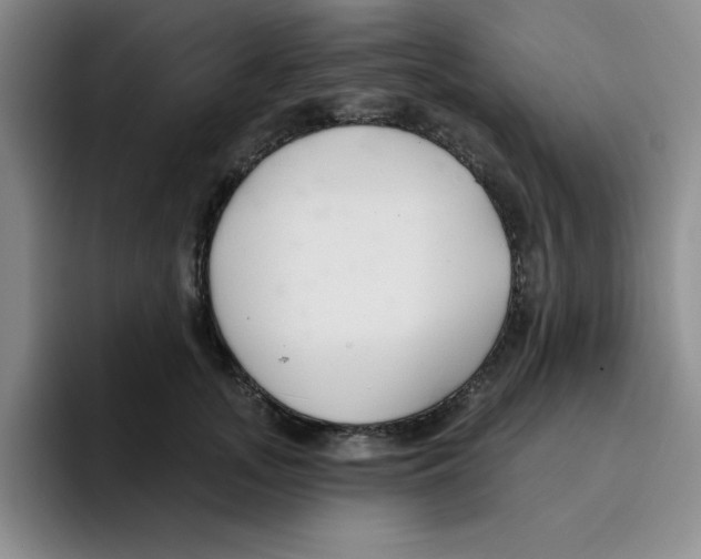 X0000096170755200802151434