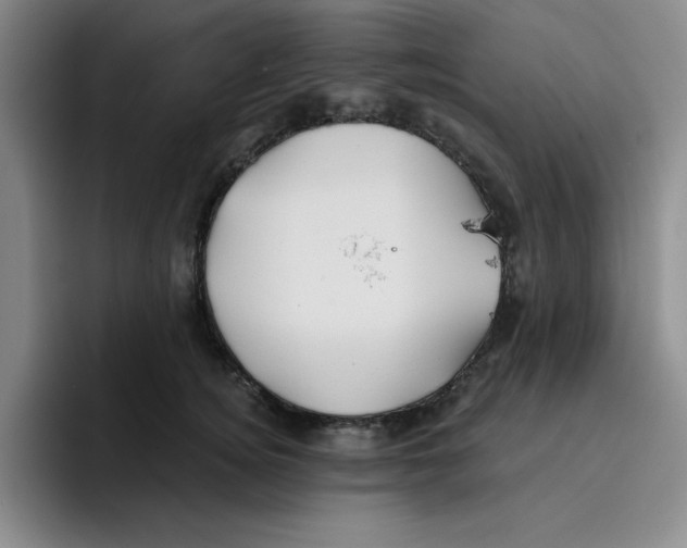 X0000096170756200802151434