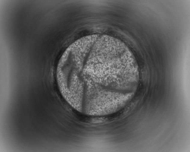 X0000096170757200802151434