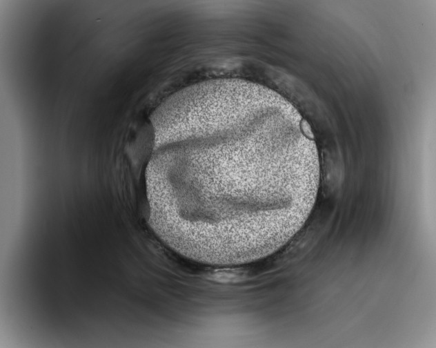 X0000096170758200802151434