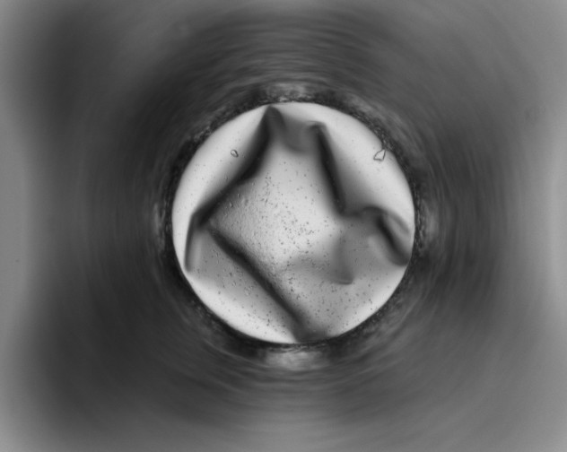 X0000096170759200802151434
