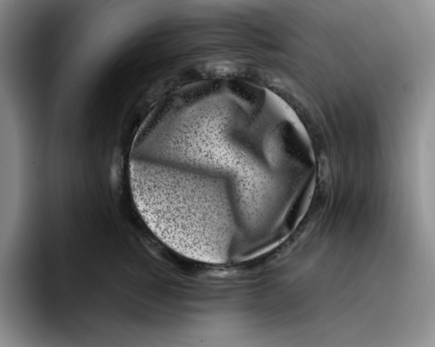 X0000096170760200802151434