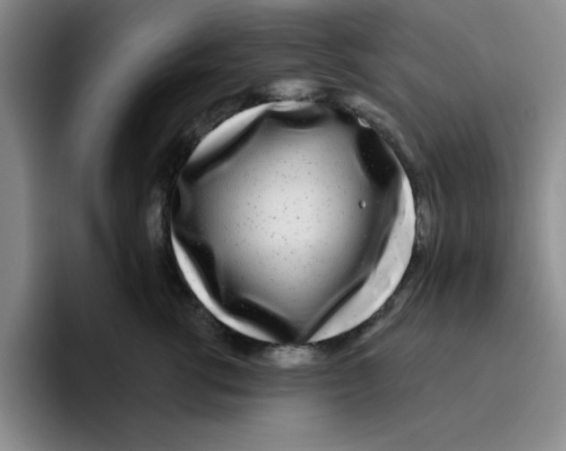 X0000096170762200802151434