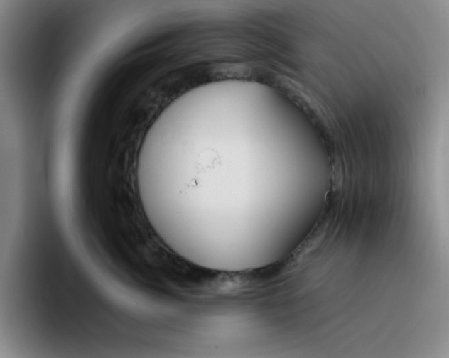 X0000096170764200802151434