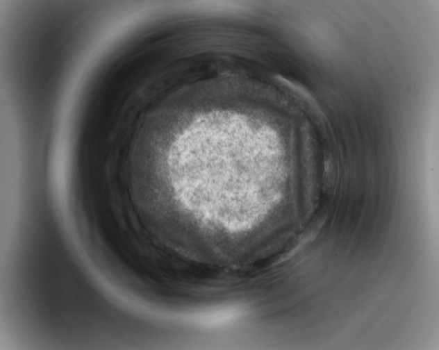 X0000096170765200802151435