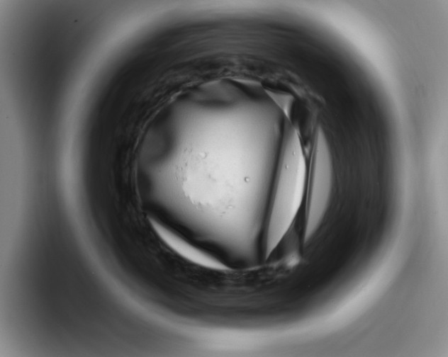 X0000096170766200802151435