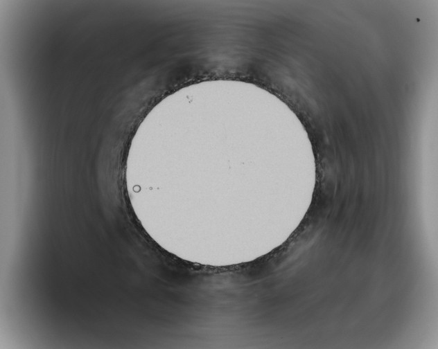 X0000096170769200802151434