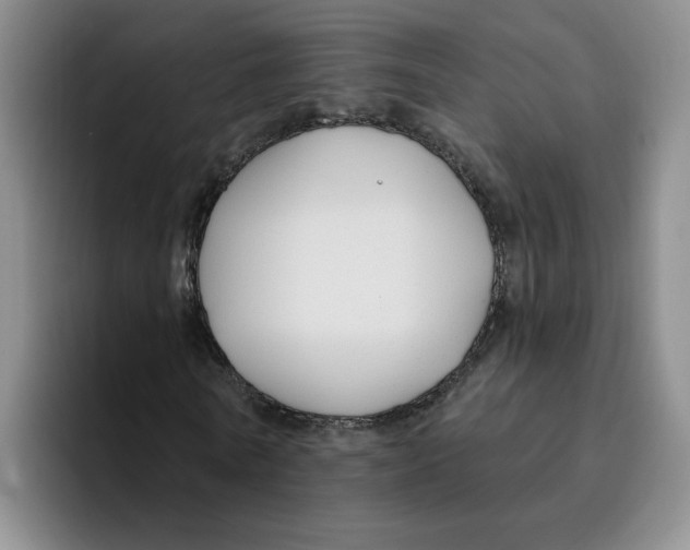 X0000096170770200802151434
