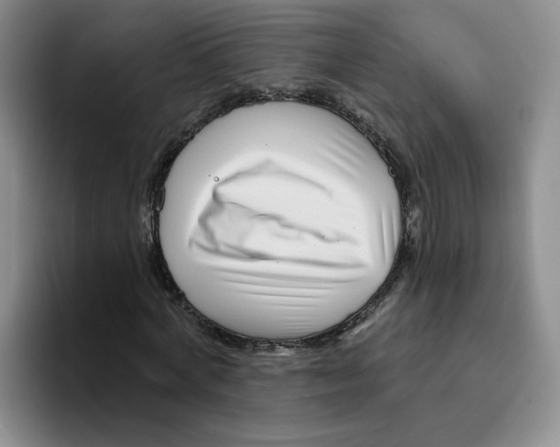 X0000096170772200802151434