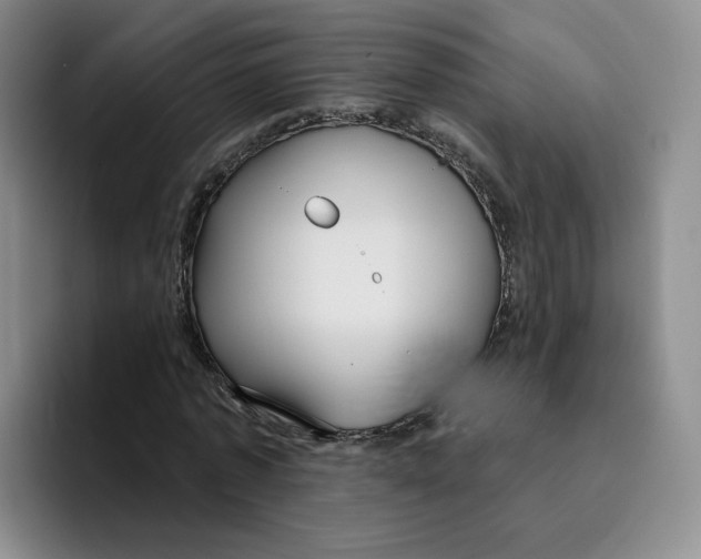 X0000096170773200802151434