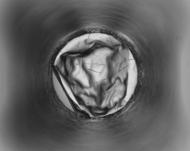 X0000096170775200802151434