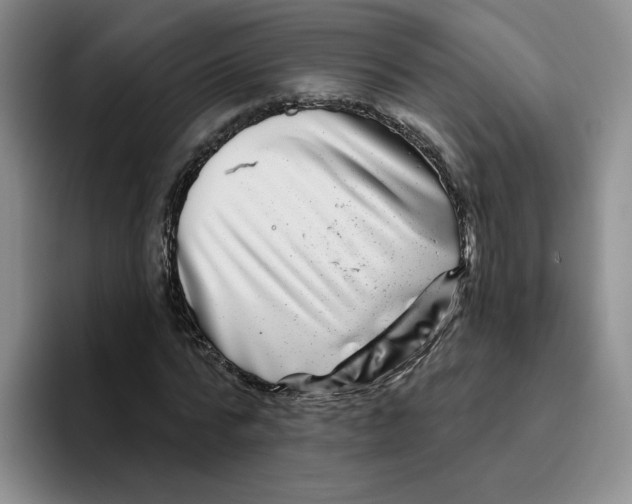 X0000096170776200802151434