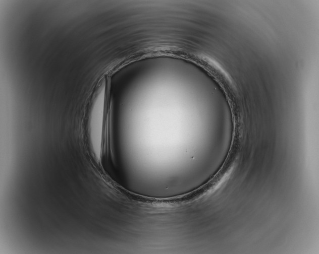 X0000096170777200802151434