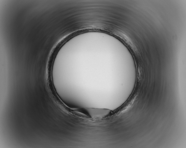 X0000096170780200802151434